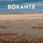 Bokante: Strange Circles