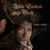 Nikola Cvetkovic Plays Opeth