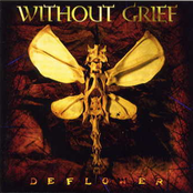 Shallow Grave by Without Grief