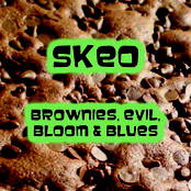 Brownies, Evil, Bloom & Blues