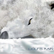 wolf`s rain