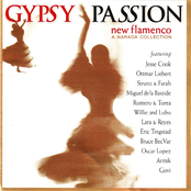 Gypsy Passion: New Flamenco