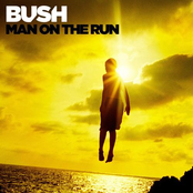 Eye Of The Storm by Bush