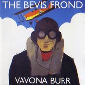 Virus by The Bevis Frond
