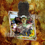 It Was A Cold And Dark Night… The Coffin Was Opened After 11 Years Of Dormancy And The Alcohol Demons Are Once Again Set Free With Fresh​ ​Bodily​ ​Fluids…