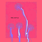 Dilly Dally Alley: This Just In