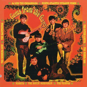 Green Crystal Ties - Vol.5