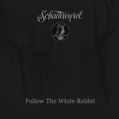 Follow the white Rabbit