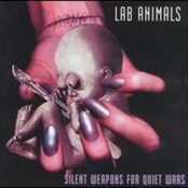 lab animals