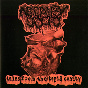 Tales From The Tepid Cavity EP