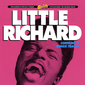 Can't Believe You Wanna Leave by Little Richard