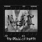 The Smell of Death