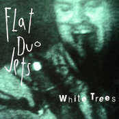 Big John by Flat Duo Jets