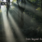 From Beyond the Thicket