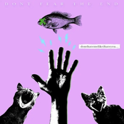 Don't Hate Me like I Hate You