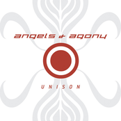 Systems by Angels & Agony