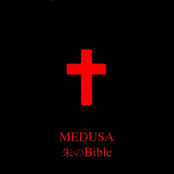 朱のBible