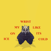 ICE ON MY WRIST LIKE IT'S COLD