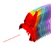 Sparrows And More Sparrows