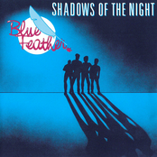 Shadows Of The Night