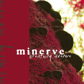 High Pitched Emotions by Minerve