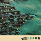 Born Without Bones: Young At The Bend