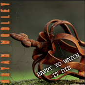 Happy To Watch It Die (Total Disaster)