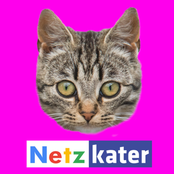 Netzkater