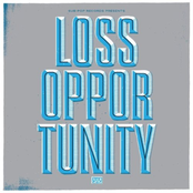 Loss Opportunity: The 2012 Sub Pop Records Sampler