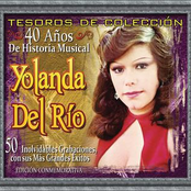 Tesoros De Colección - 40 Años de Historia Musical