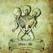 RadiX 16- "Slices of Life" (2012)