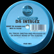 da intalex