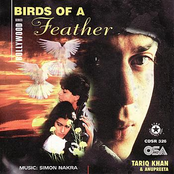 Birds of A Feather