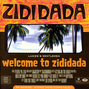 welcome to zididada