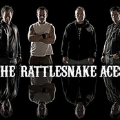 the rattlesnake aces