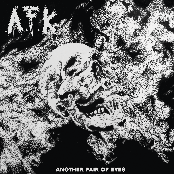 Another Pair Of Eyes