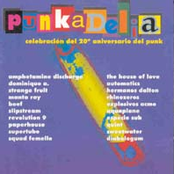 Punkadelia