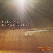 Falling Consciously
