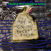 chalky the squigley lama