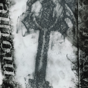 Against My Will...And For What?