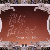 Wild Science, Wild Signs by Make Believe