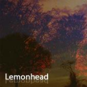 lemonhead