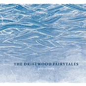 Paralysis by The Driftwood Fairytales