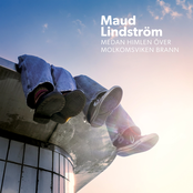 Medan himlen över Molkomsviken brann