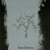 Suicide Reflections