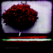 Life as Promised in our Early Days (Season One)