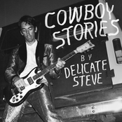 Delicate Steve: Cowboy Stories