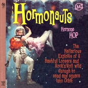 We Are The Hormonauts by The Hormonauts