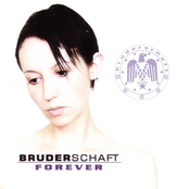 Forever (radio Edit) by Bruderschaft