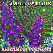 Laboratory Porpoises - Disc 2 - Reflect